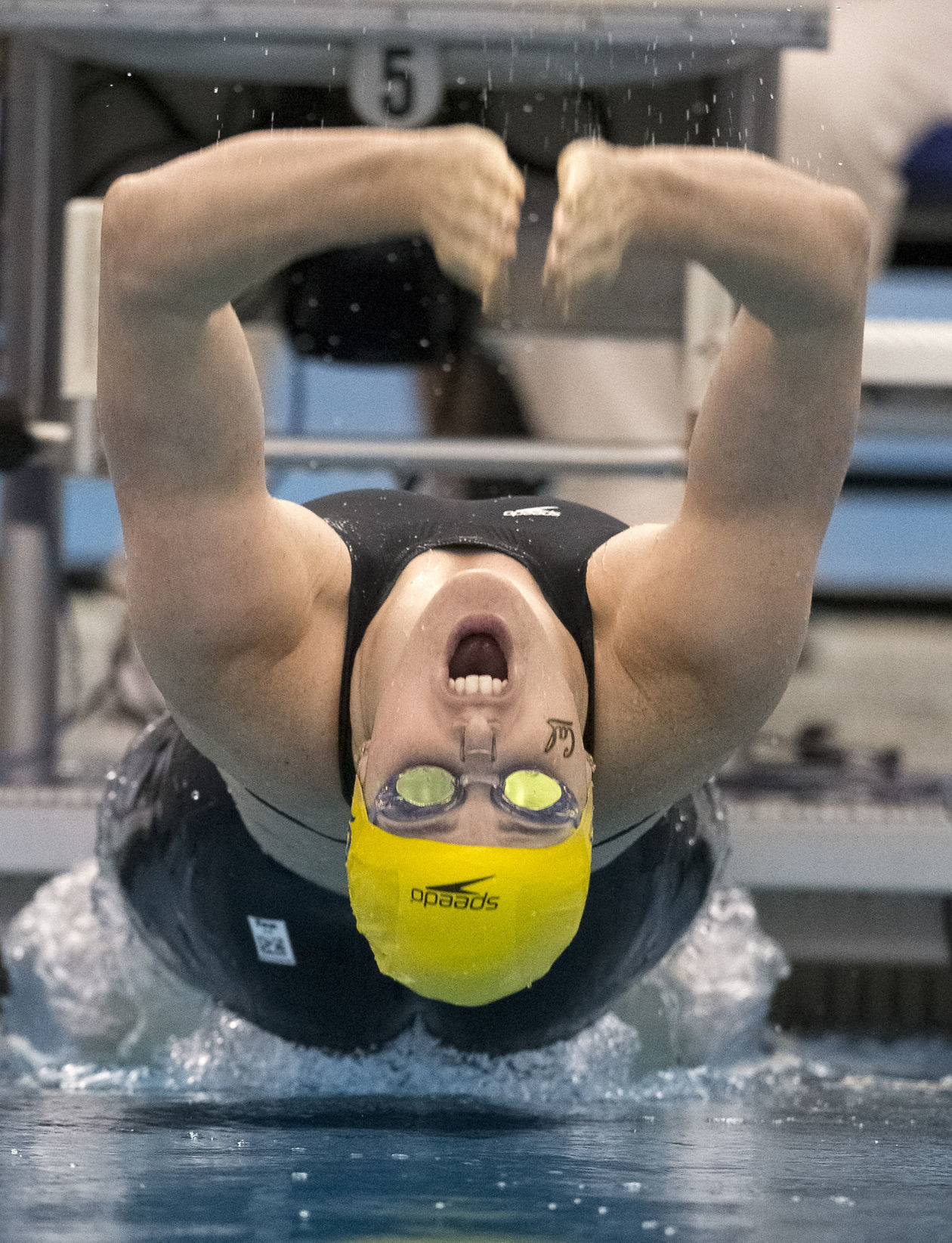 ncaa 042916 swimming 2015 franklin (copy) (copy)